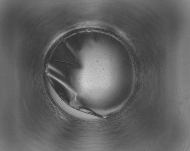 X0000054361312200508121503