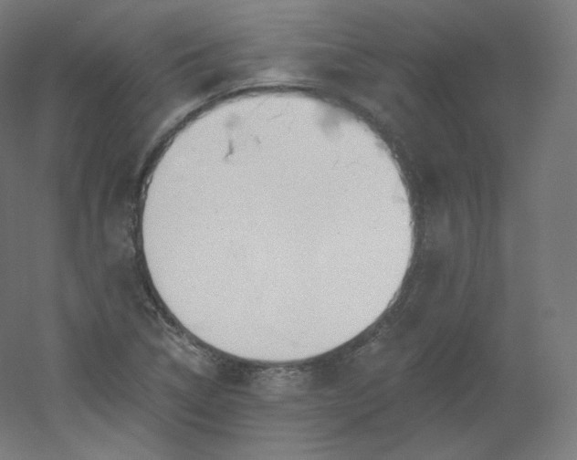 X0000054361314200508121503
