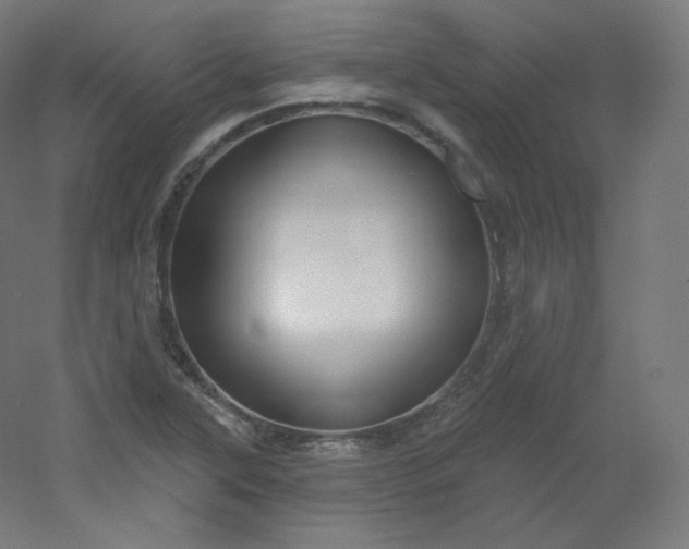 X0000054361315200508121503