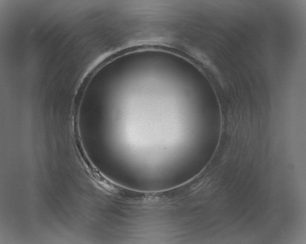 X0000054361316200508121503