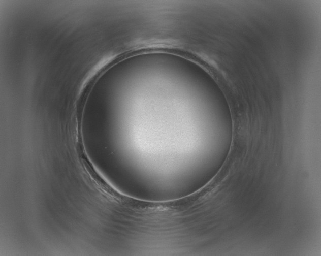 X0000054361317200508121504