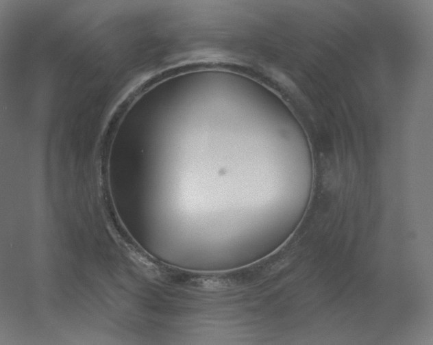 X0000054361318200508121504