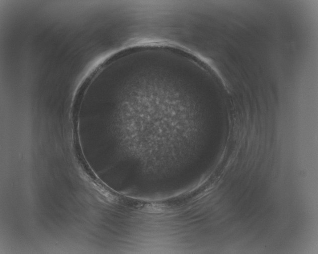 X0000054361319200508121504