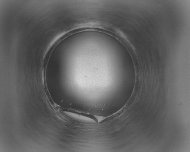 X0000054361320200508121504