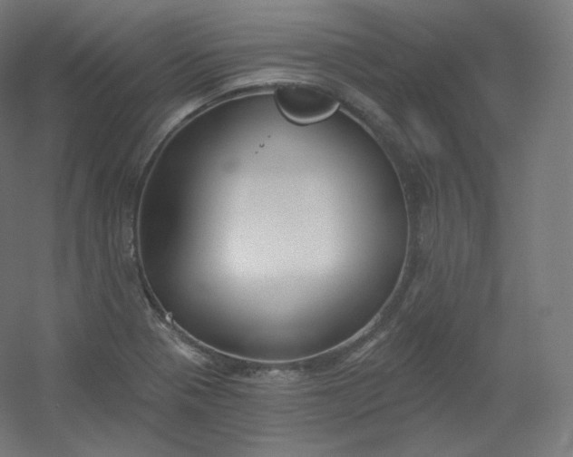 X0000054361321200508121504