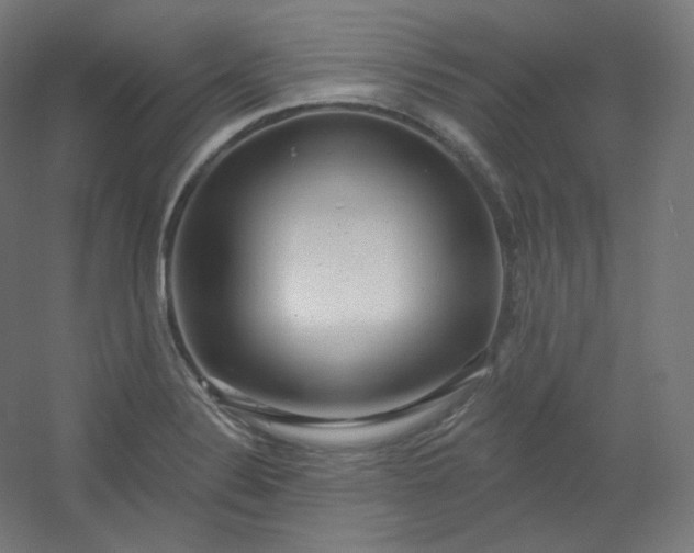 X0000054361324200508121504