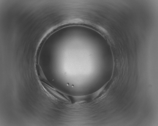 X0000054361326200508121504
