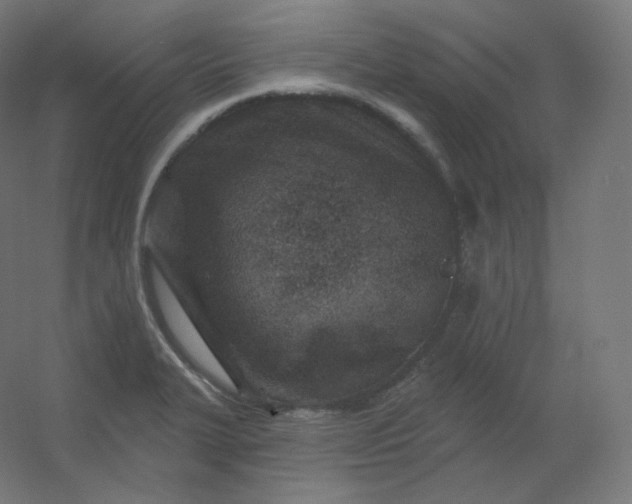 X0000054361327200508121504