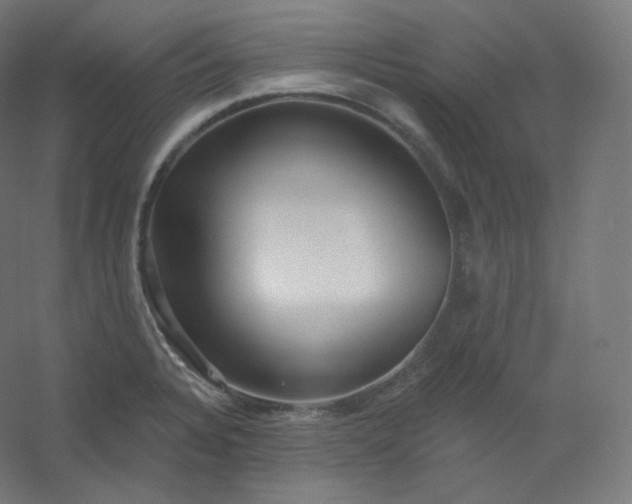 X0000054361328200508121504