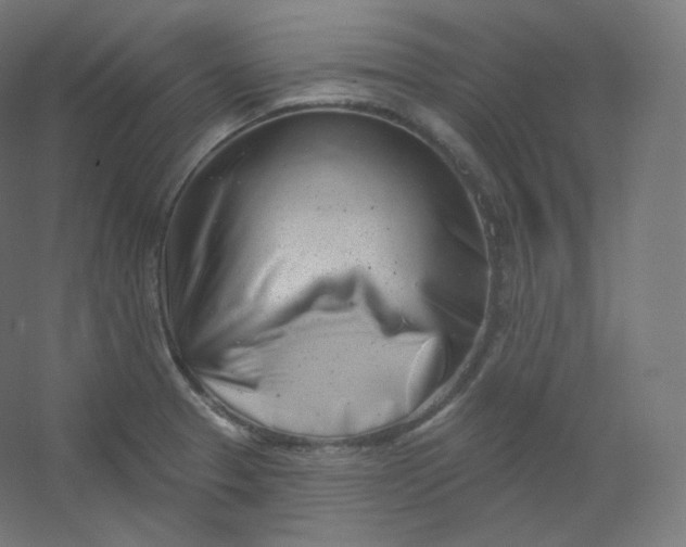 X0000054361329200508121504