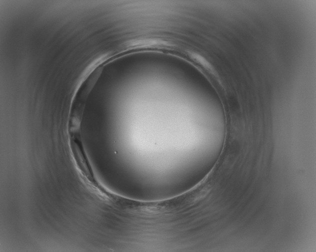 X0000054361330200508121504