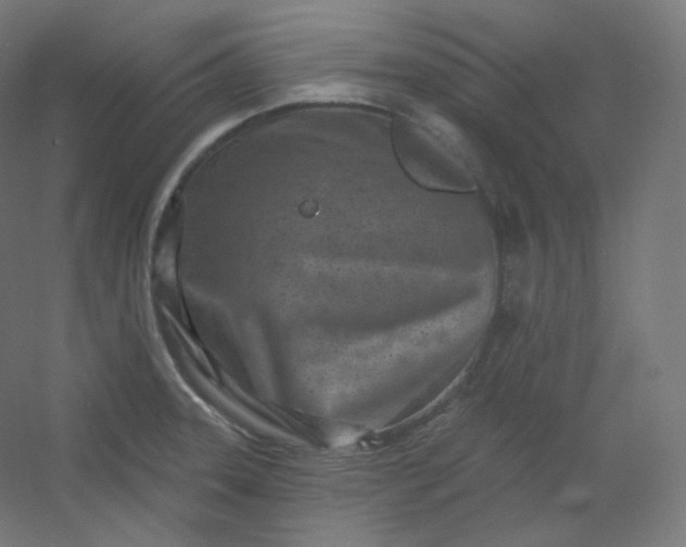 X0000054361331200508121504