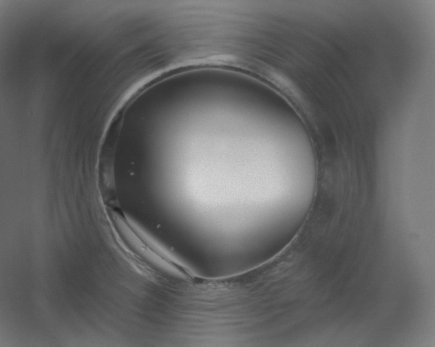 X0000054361332200508121504