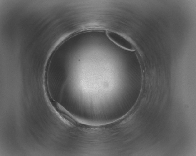 X0000054361333200508121504
