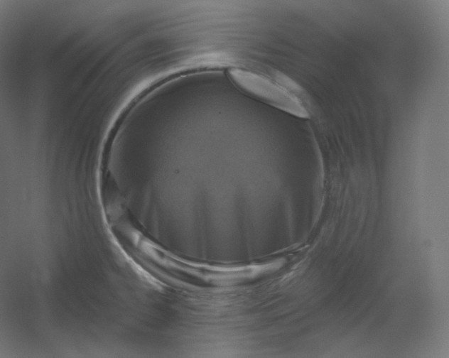 X0000054361334200508121504