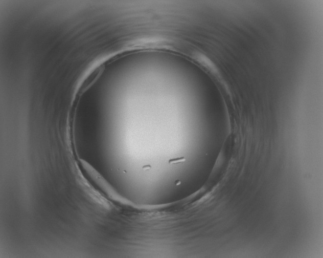X0000054361336200508121504