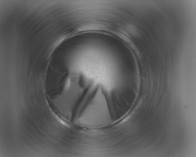 X0000054361337200508121504