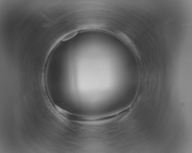 X0000054361340200508121504