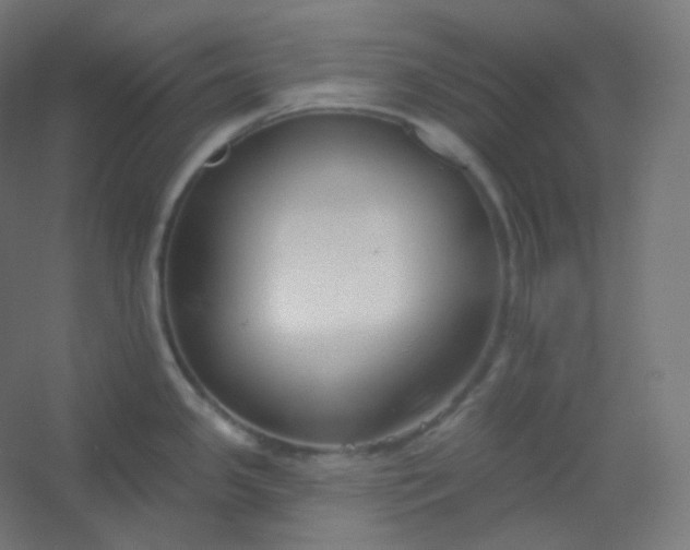 X0000054361341200508121504