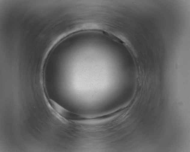 X0000054361342200508121504