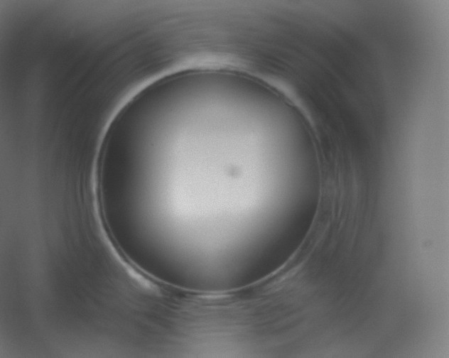 X0000054361343200508121504