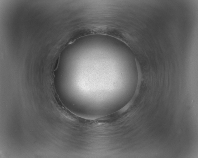 X0000054361345200508121503