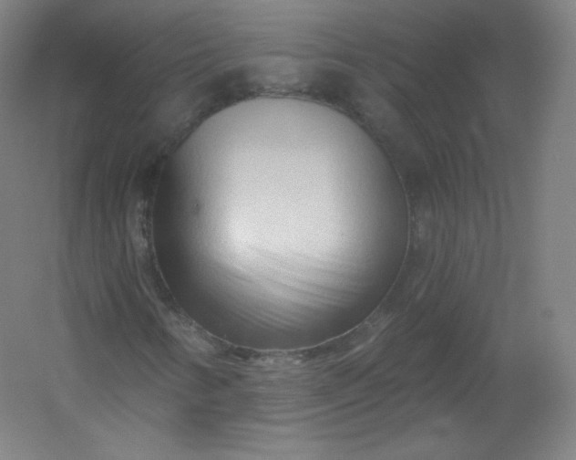 X0000054361346200508121503