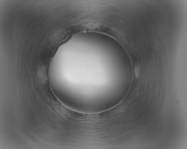 X0000054361347200508121503