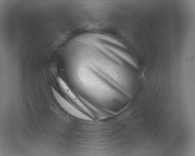 X0000054361348200508121503