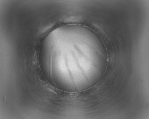 X0000054361350200508121503