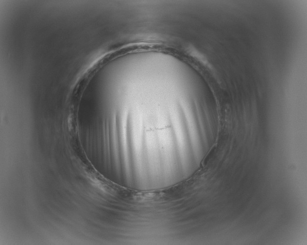 X0000054361352200508121503
