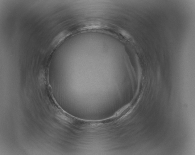 X0000054361353200508121503