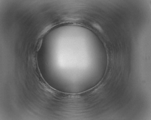 X0000054361354200508121503