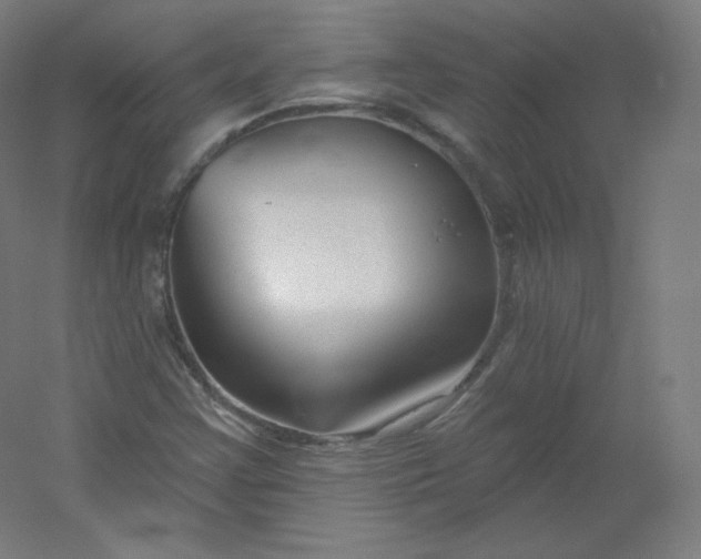 X0000054361355200508121503