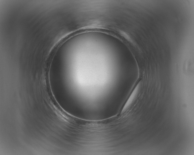 X0000054361356200508121503
