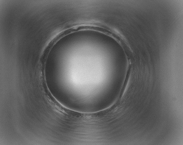 X0000054361360200508121503