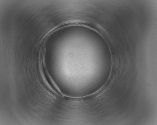 X0000054361361200508121503