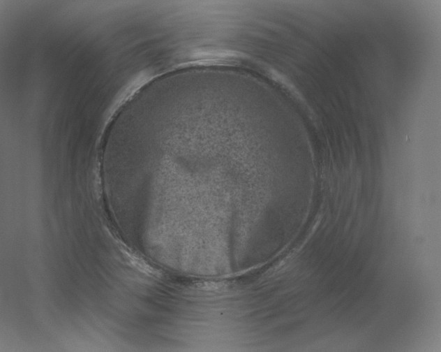 X0000054361362200508121503