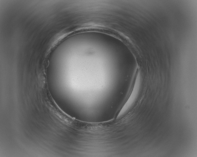 X0000054361363200508121503