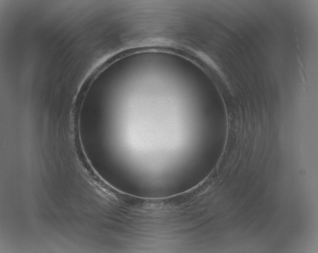 X0000054361364200508121503
