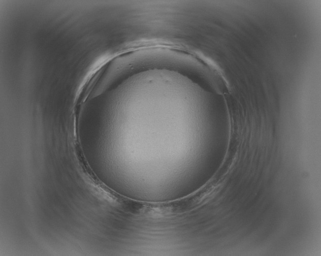 X0000054361365200508121503