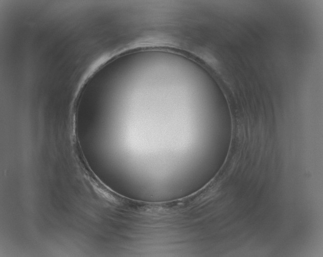 X0000054361366200508121503