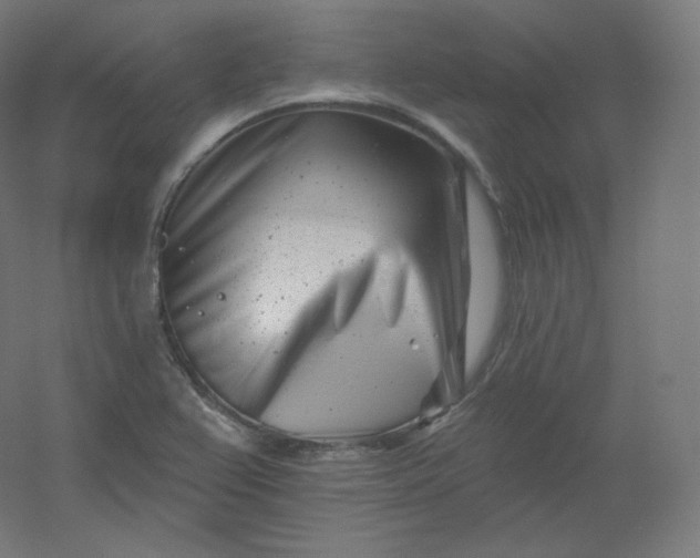X0000054361367200508121503