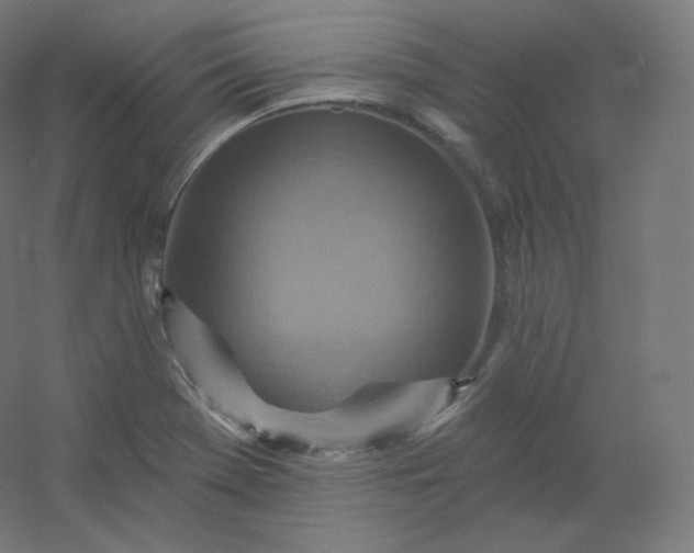 X0000054361369200508121503