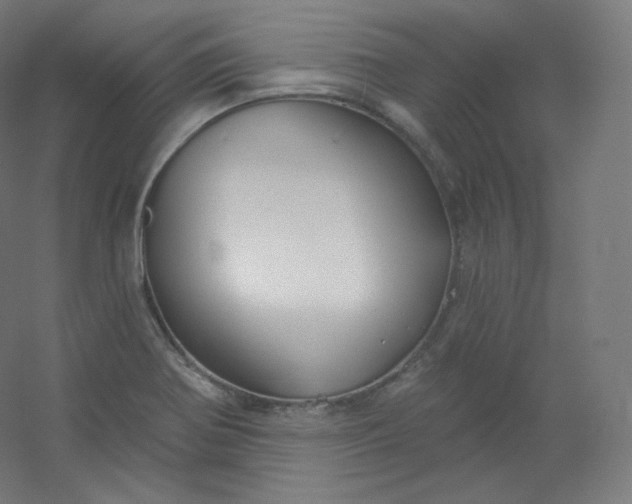 X0000054361370200508121503