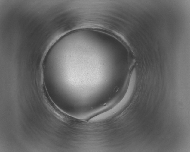 X0000054361371200508121503