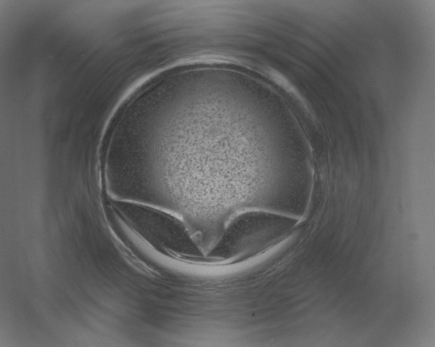 X0000054361372200508121503