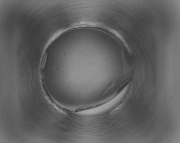X0000054361373200508121503