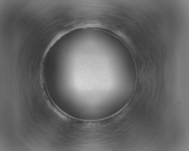 X0000054361374200508121503
