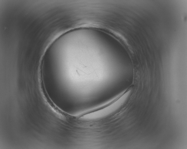 X0000054361375200508121503